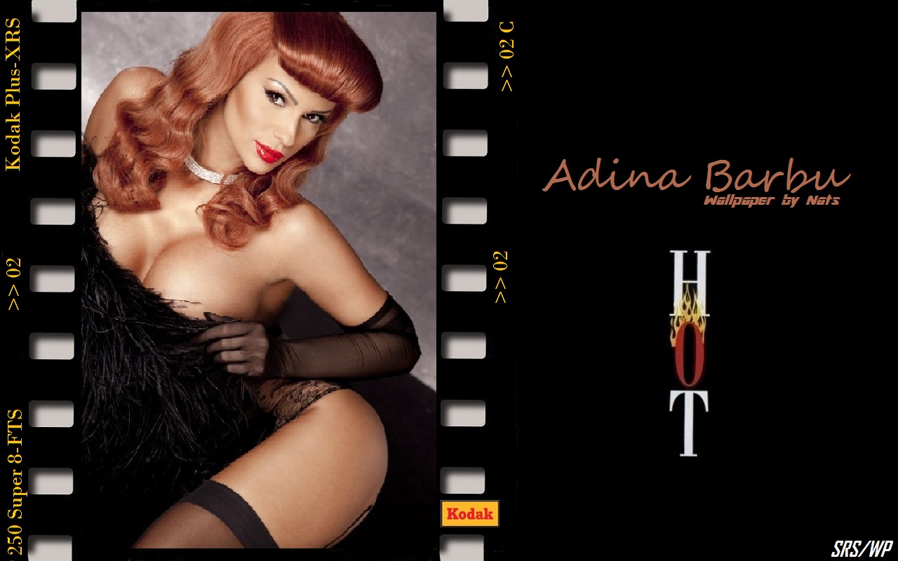Download HQ Adina Barbu wallpaper / Celebrities Female / 1280x800