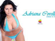 Adriana Corella / High quality Celebrities Female 