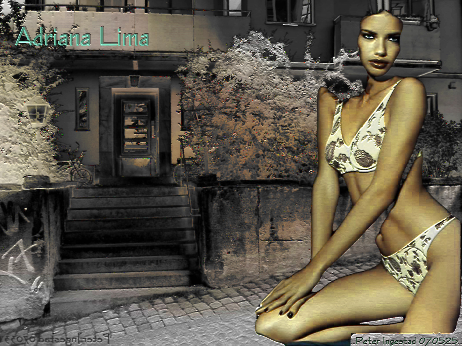 Download High quality Adriana Lima wallpaper / Celebrities Female / 1600x1200