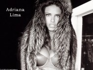 Download Adriana Lima / Celebrities Female