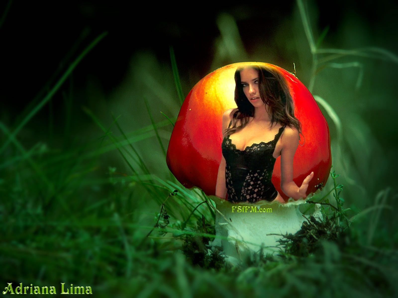 Download High quality Adriana Lima wallpaper / Celebrities Female / 1600x1200