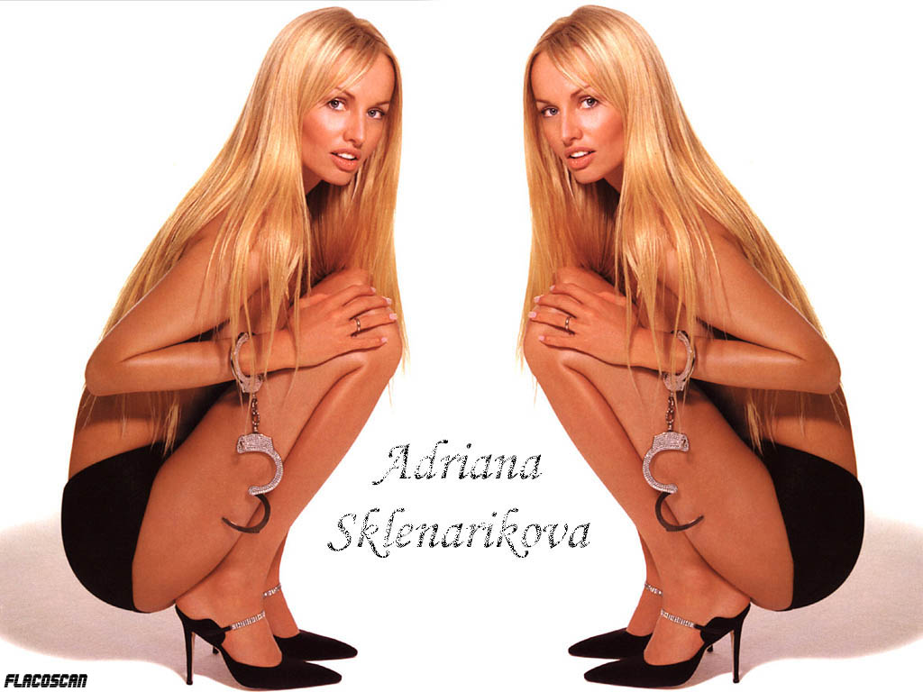 Download Adriana Sklenarikova / Celebrities Female wallpaper / 1024x768