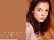 Agnes Bruckner / Celebrities Female