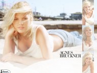 Download Agnes Bruckner / Celebrities Female