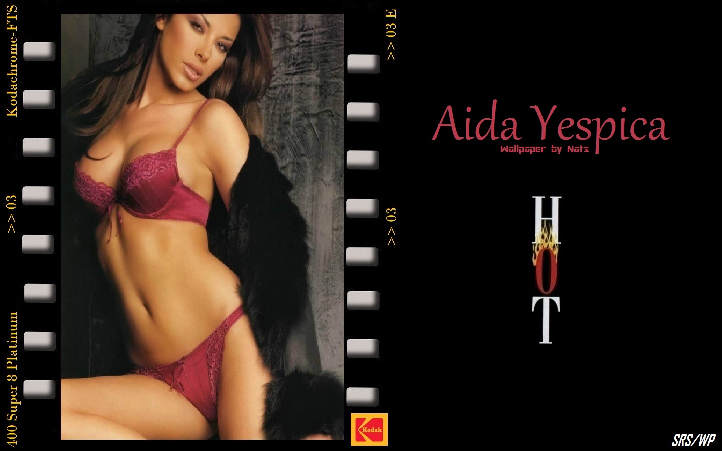Download HQ Aida Yespica wallpaper / Celebrities Female / 1440x900