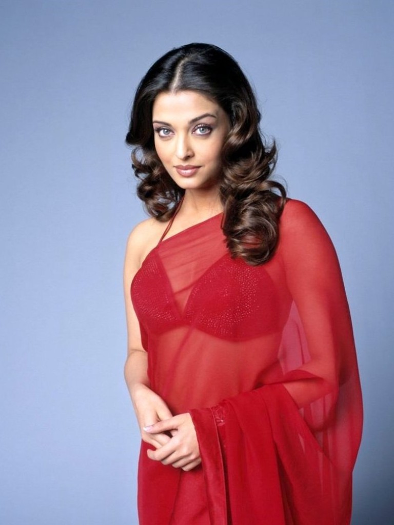 Download High quality Aishwarya Rai wallpaper / Celebrities Female / 768x1024