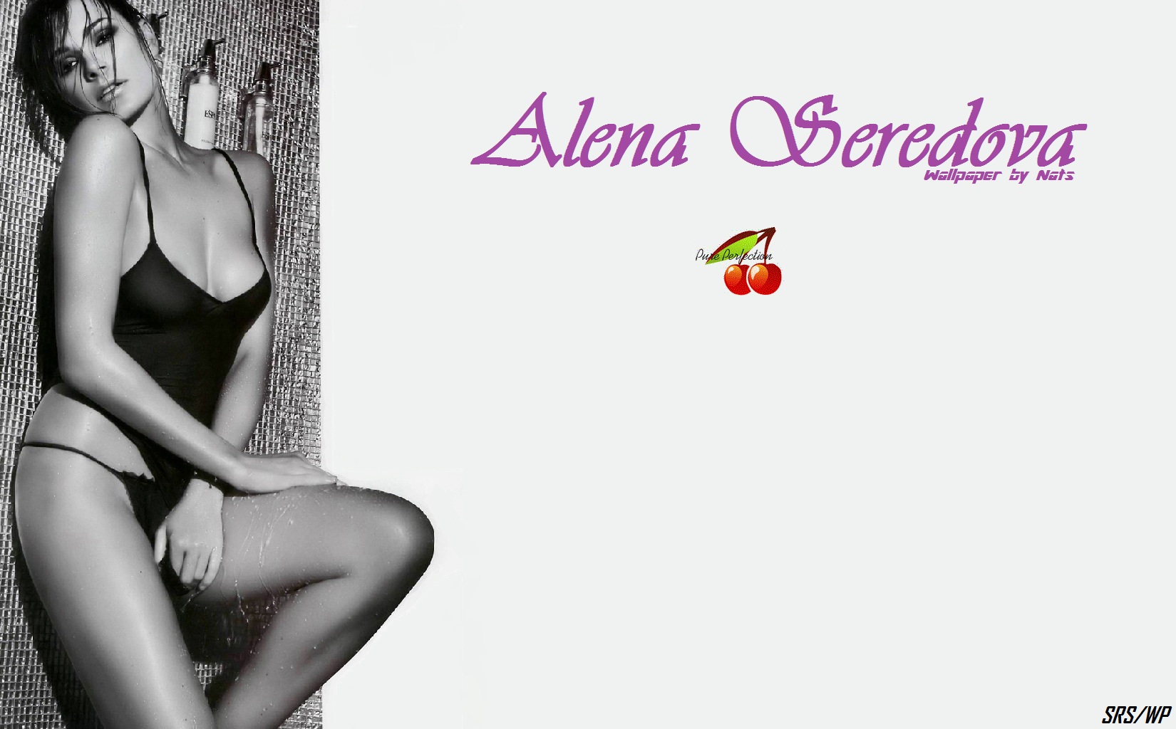 Download High quality Alena Seredova wallpaper / Celebrities Female / 1650x1024