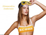 Download Alessandra Ambrosio / Celebrities Female