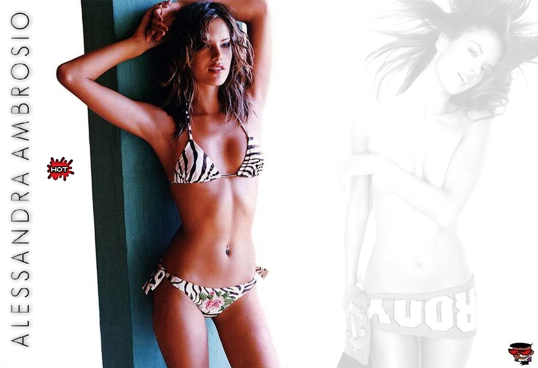 Download Alessandra Ambrosio / Celebrities Female wallpaper / 1050x720