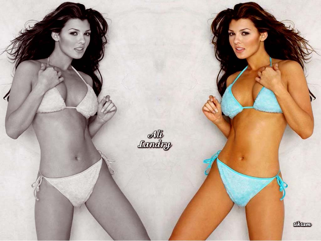 Full size Ali Landry wallpaper / Celebrities Female / 1024x768