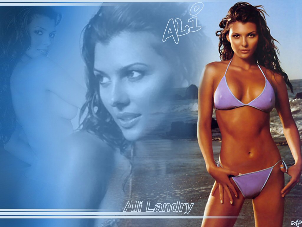 Download Ali Landry / Celebrities Female wallpaper / 1024x768