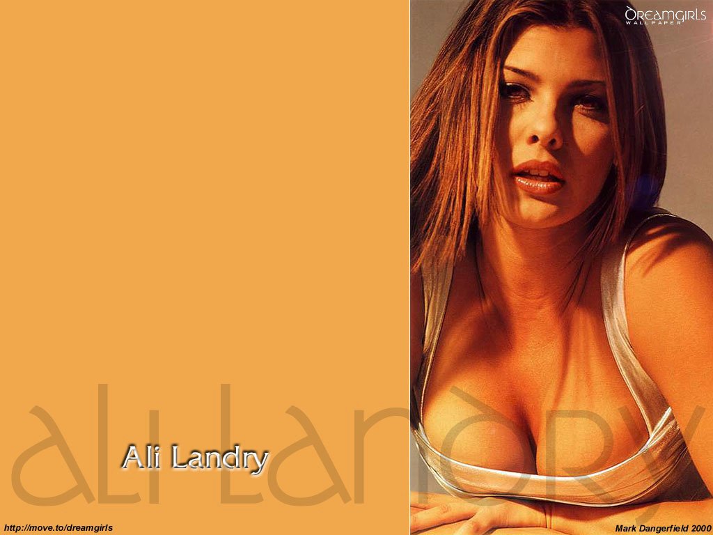 Download Ali Landry / Celebrities Female wallpaper / 1024x768
