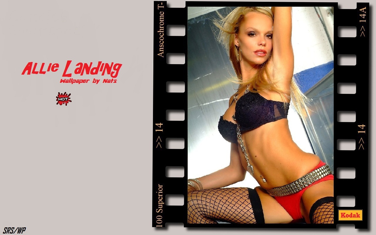 Download full size Allie Landing wallpaper / Celebrities Female / 1280x800