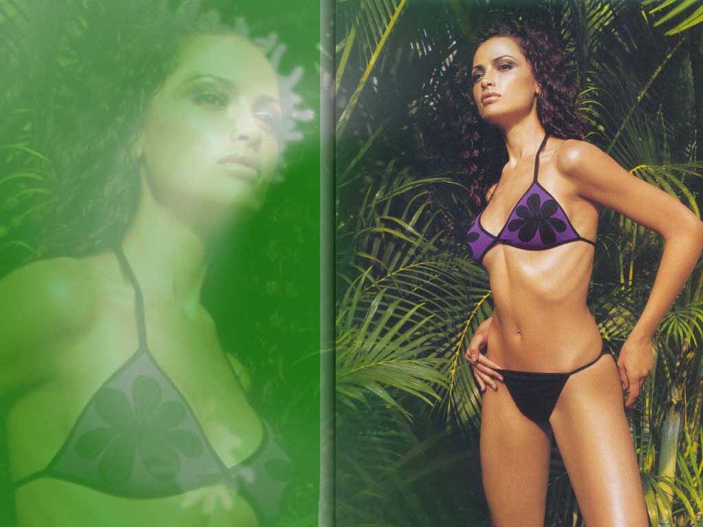 Download Almudena Fernandez / Celebrities Female wallpaper / 1024x768