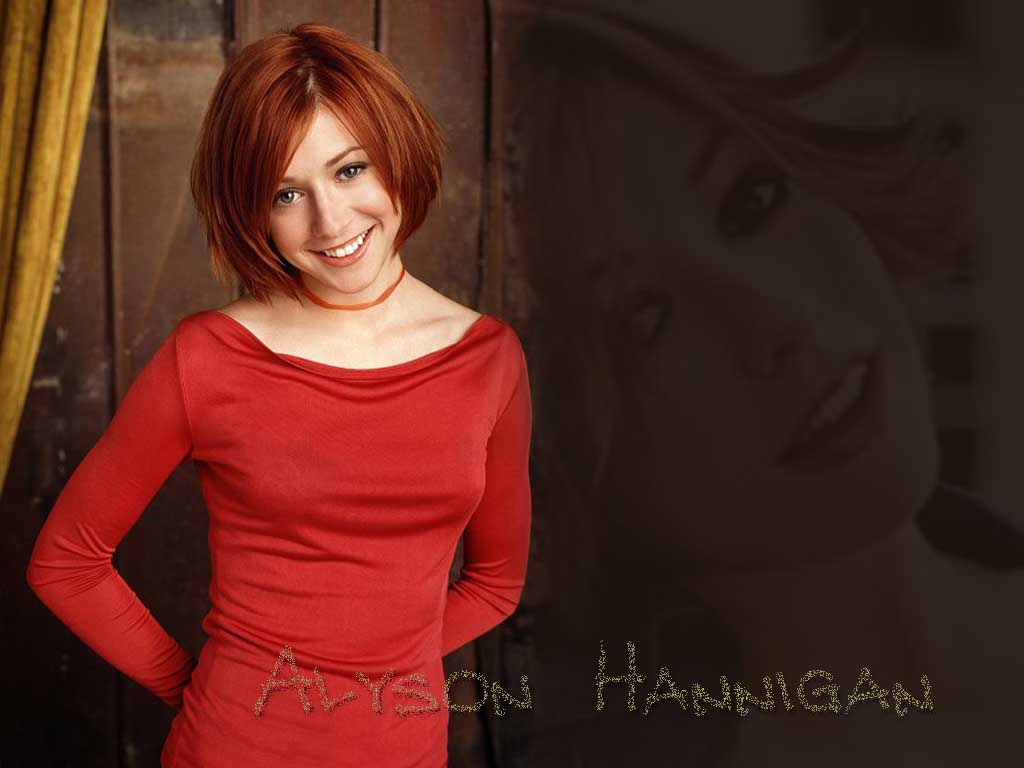 Download Alyson Hannigan / Celebrities Female wallpaper / 1024x768