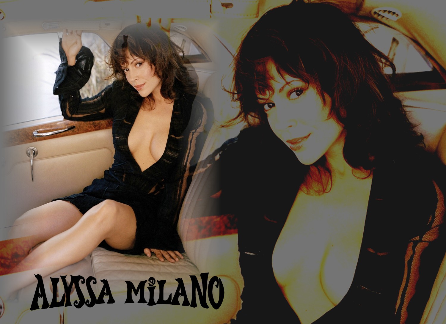 Download full size Alyssa Milano wallpaper / Celebrities Female / 1500x1090