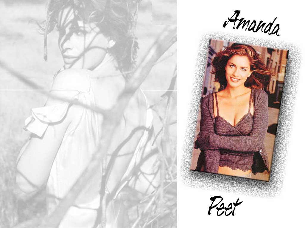 Full size Amanda Peet wallpaper / Celebrities Female / 1024x768