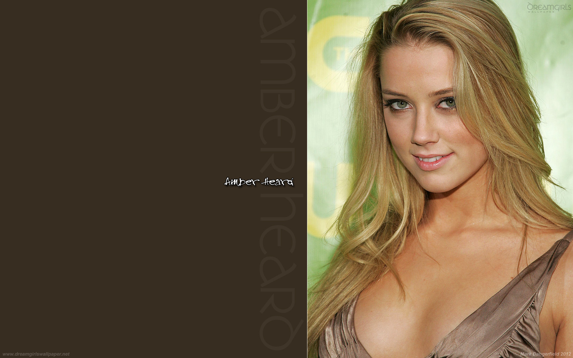 Download High quality Amber Heard wallpaper / Celebrities Female / 1920x1200