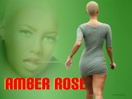 Download mini skirt / Amber Rose