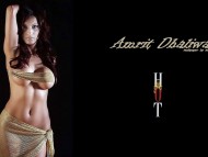 Amrit Dhaliwal / Celebrities Female