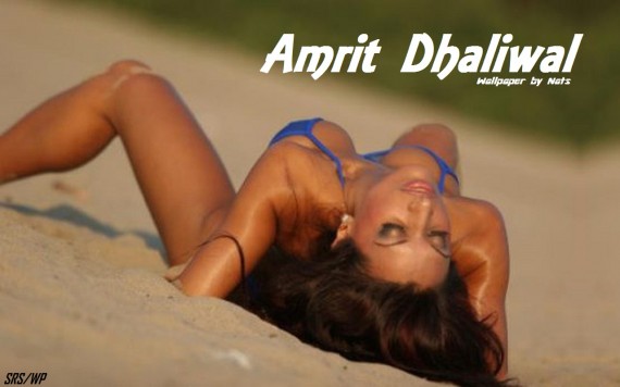 Free Send to Mobile Phone Amrit Dhaliwal Celebrities Female wallpaper num.3