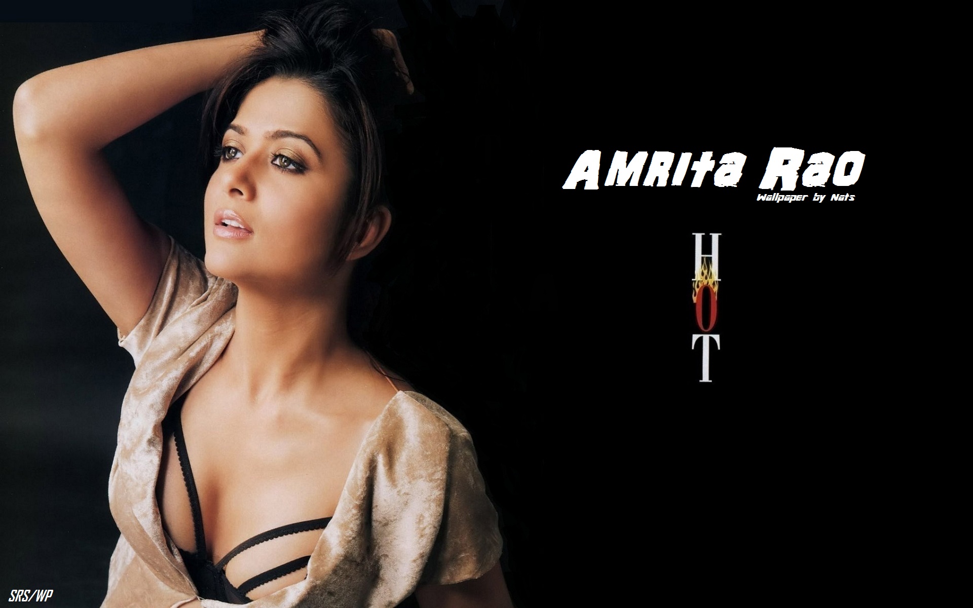 Download High quality Amrita Rao wallpaper / Celebrities Female / 1920x1200