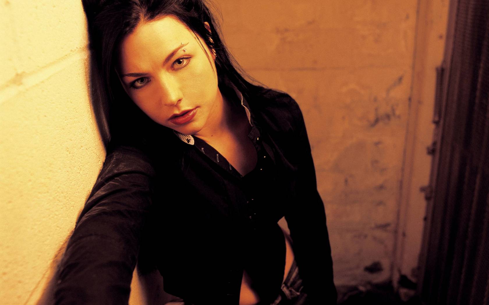 Download High quality Amy Lee wallpaper / Celebrities Female / 1680x1050