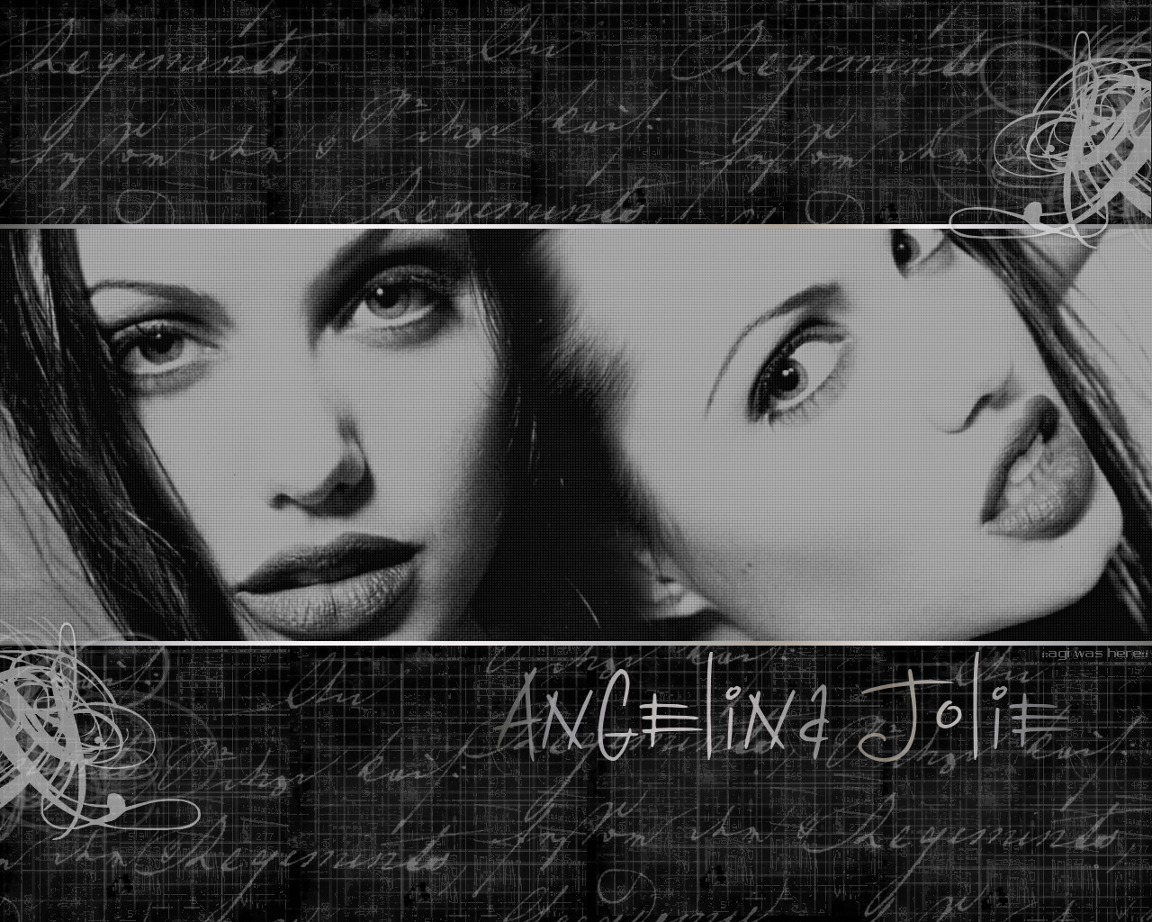 Download HQ Angelina Jolie wallpaper / Celebrities Female / 1280x1024