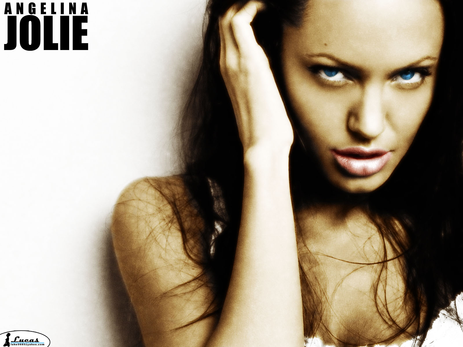 Download High quality Angelina Jolie wallpaper / Celebrities Female / 1600x1200