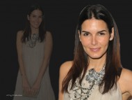 Download In grey dress / Angie Harmon