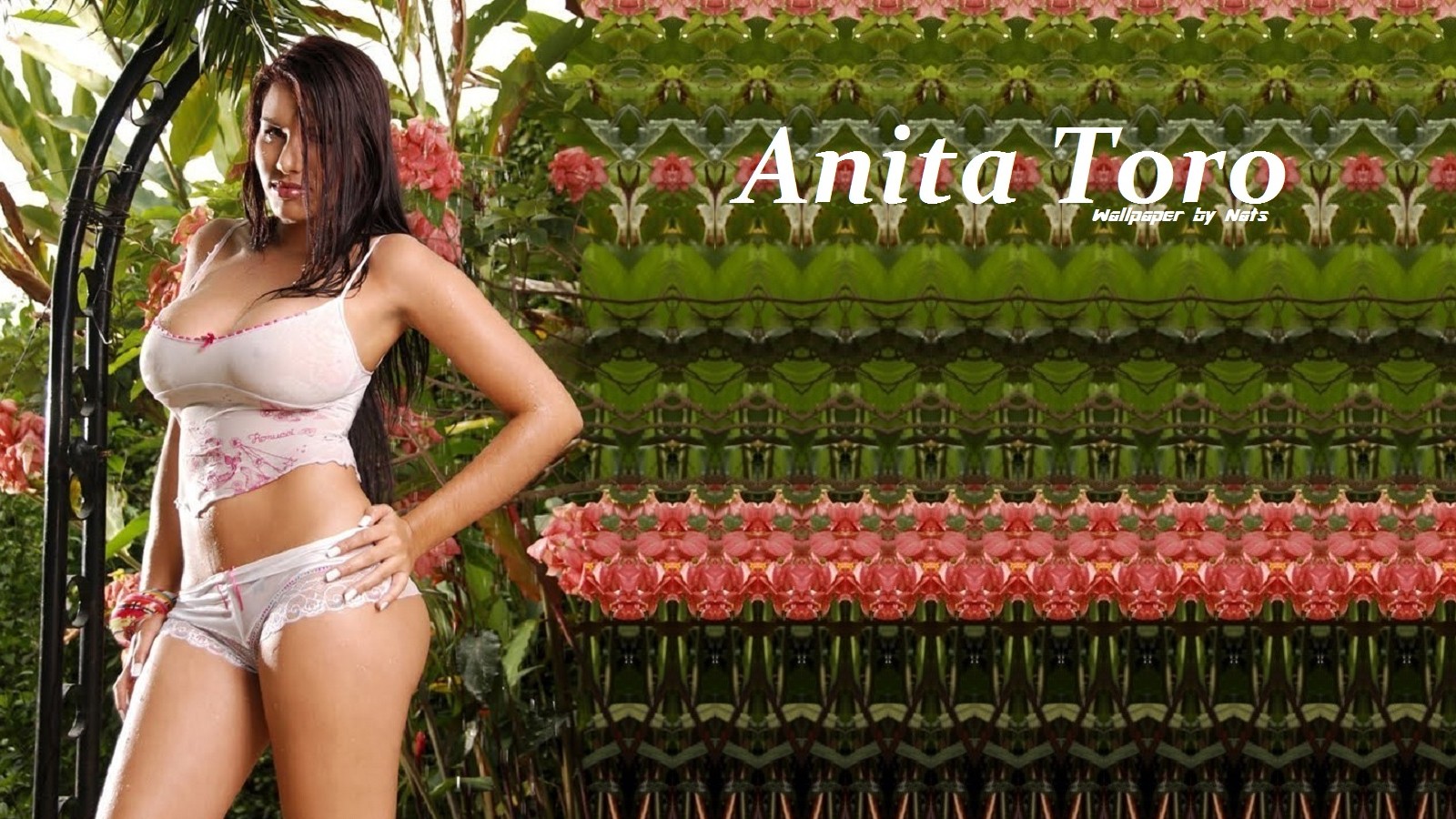 Download full size Anita Toro wallpaper / Celebrities Female / 1600x900