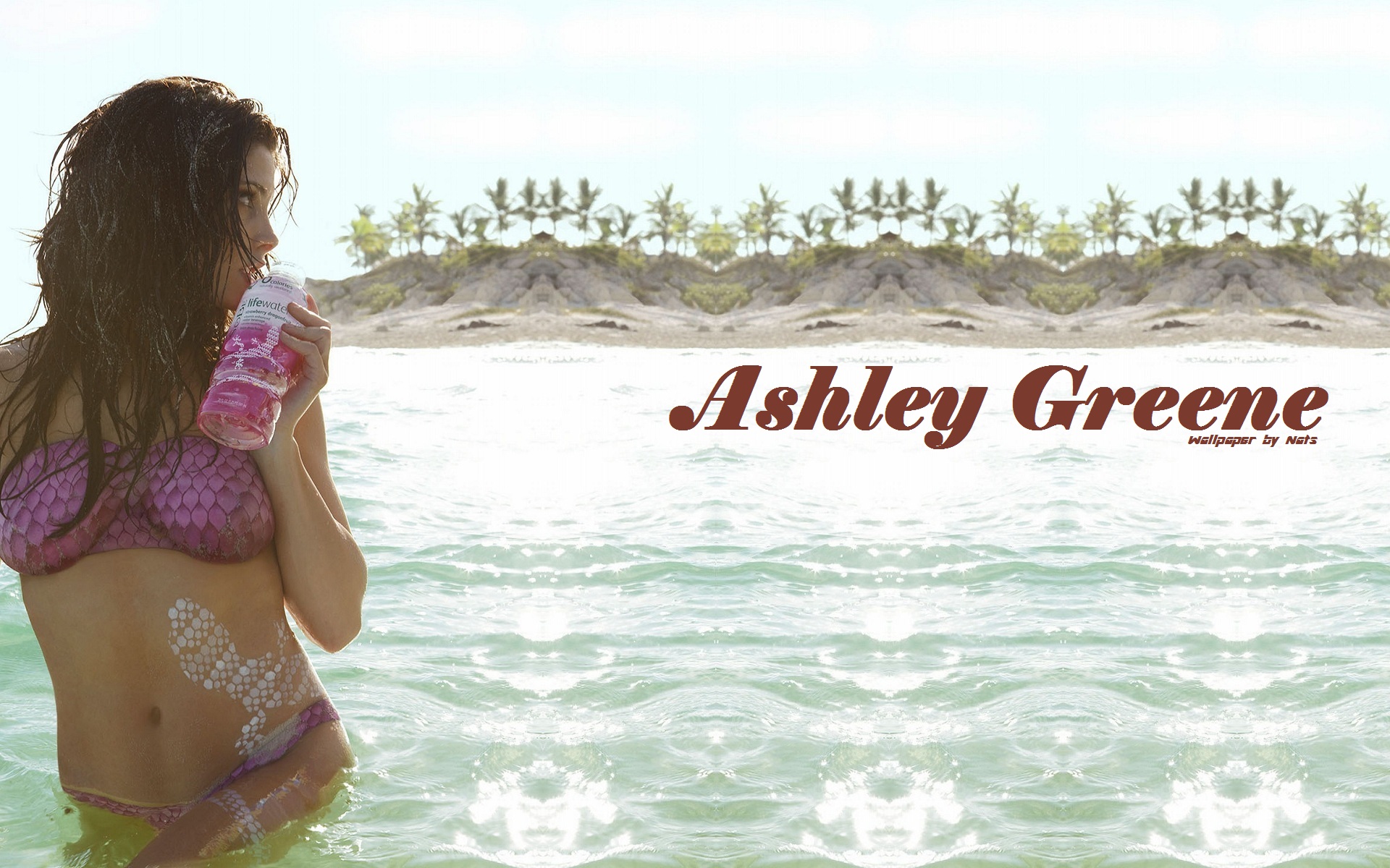Download HQ Ashley Greene wallpaper / Celebrities Female / 1920x1200