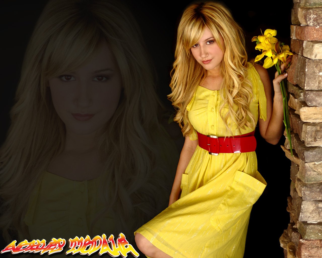 Download full size Ashley Tisdale wallpaper / Celebrities Female / 1280x1024