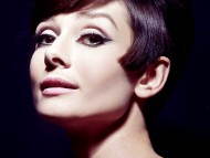 Audrey Hepburn / Celebrities Female
