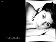 Audrey Tautou / Celebrities Female