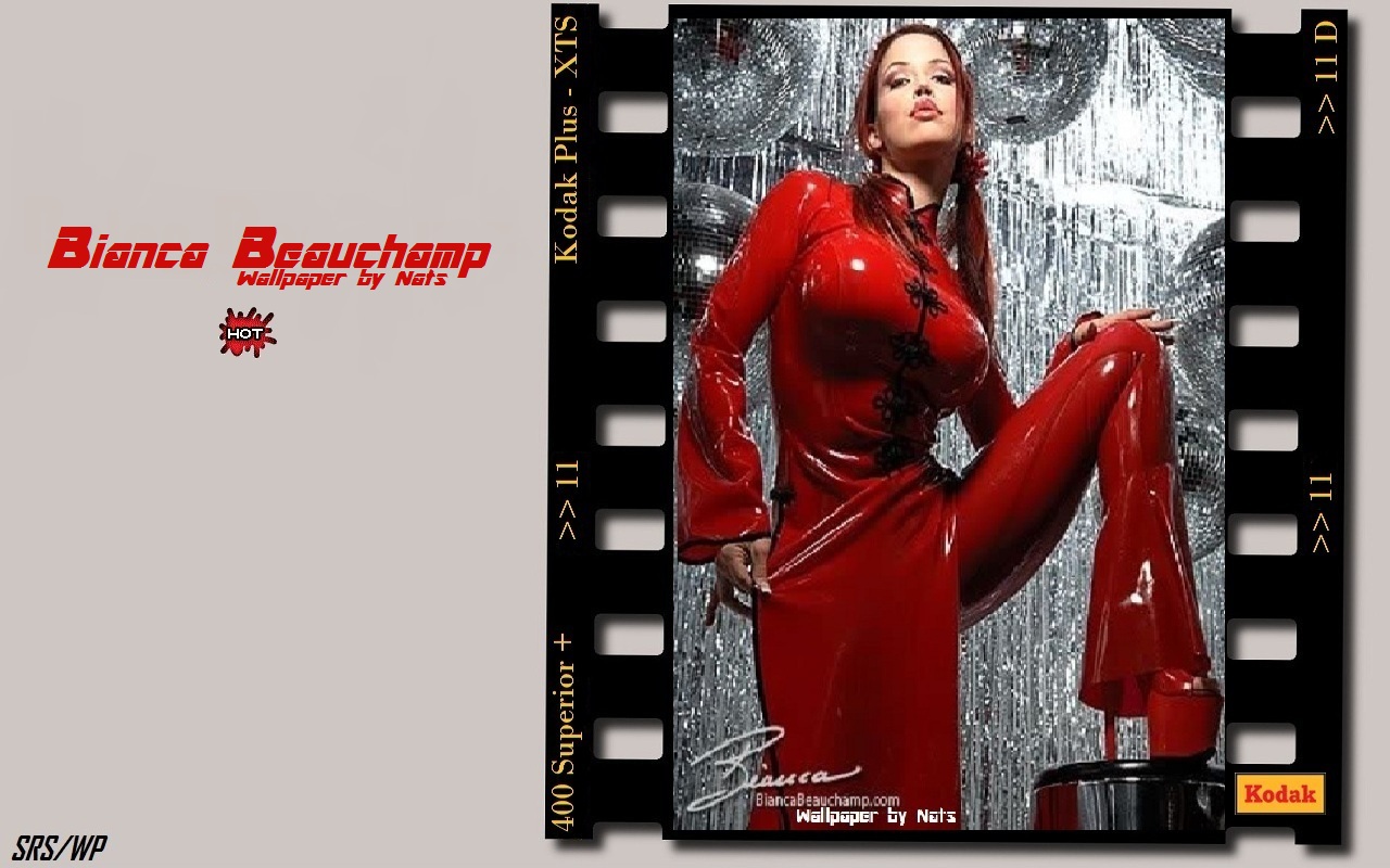 Download HQ Bianca Beauchamp wallpaper / Celebrities Female / 1280x800