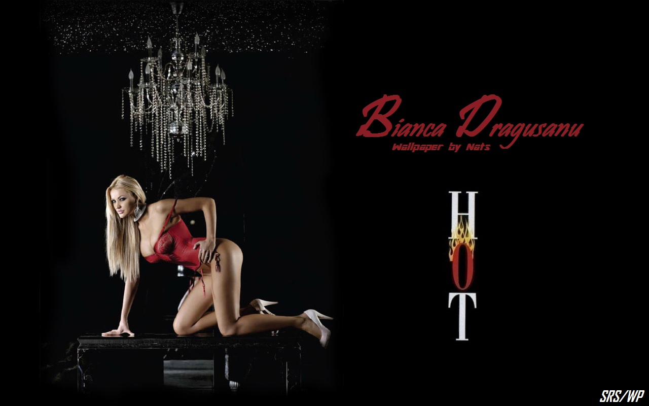 Download HQ Bianca Dragusanu wallpaper / Celebrities Female / 1280x800