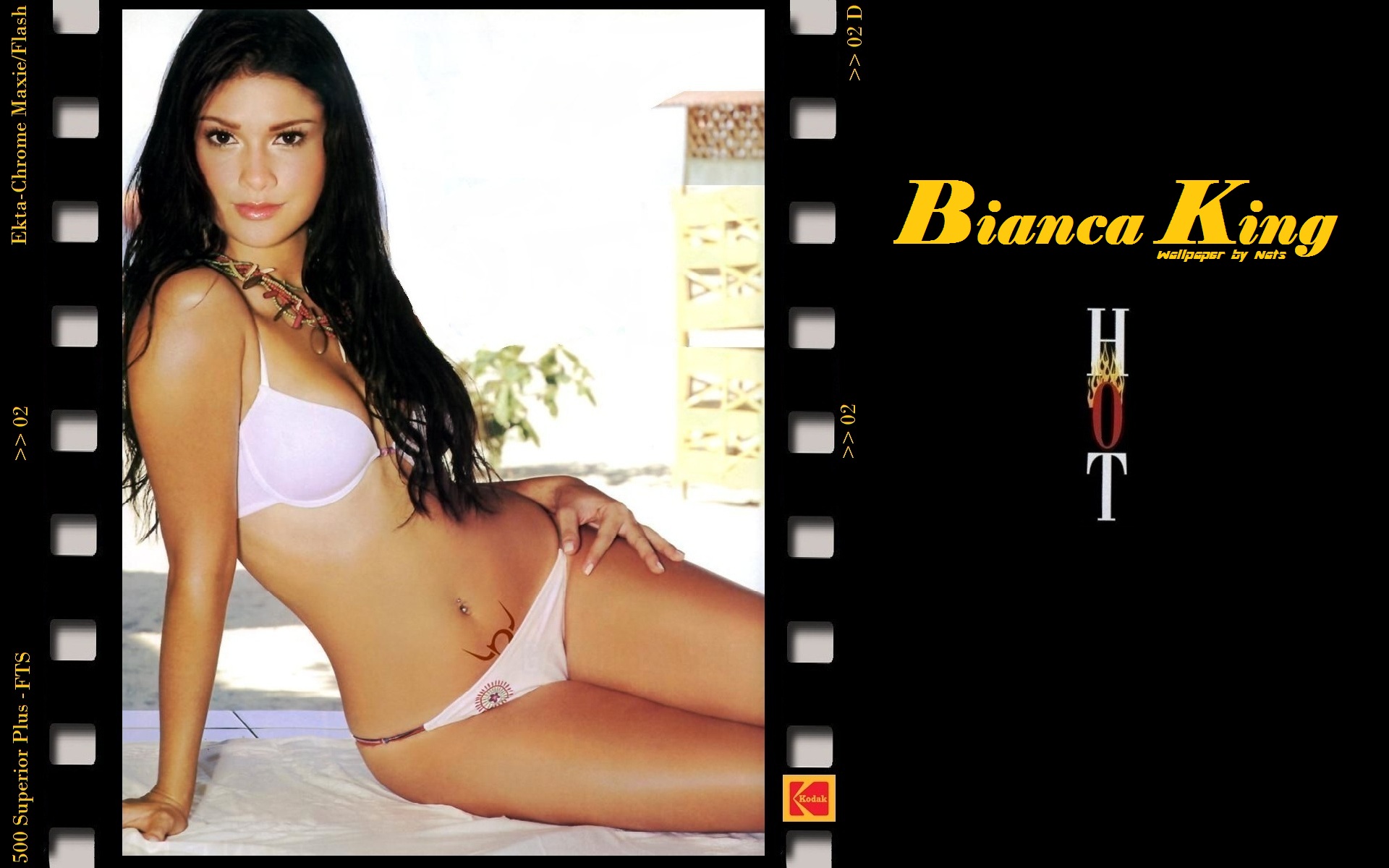 Download full size Bianca King wallpaper / Celebrities Female / 1920x1200