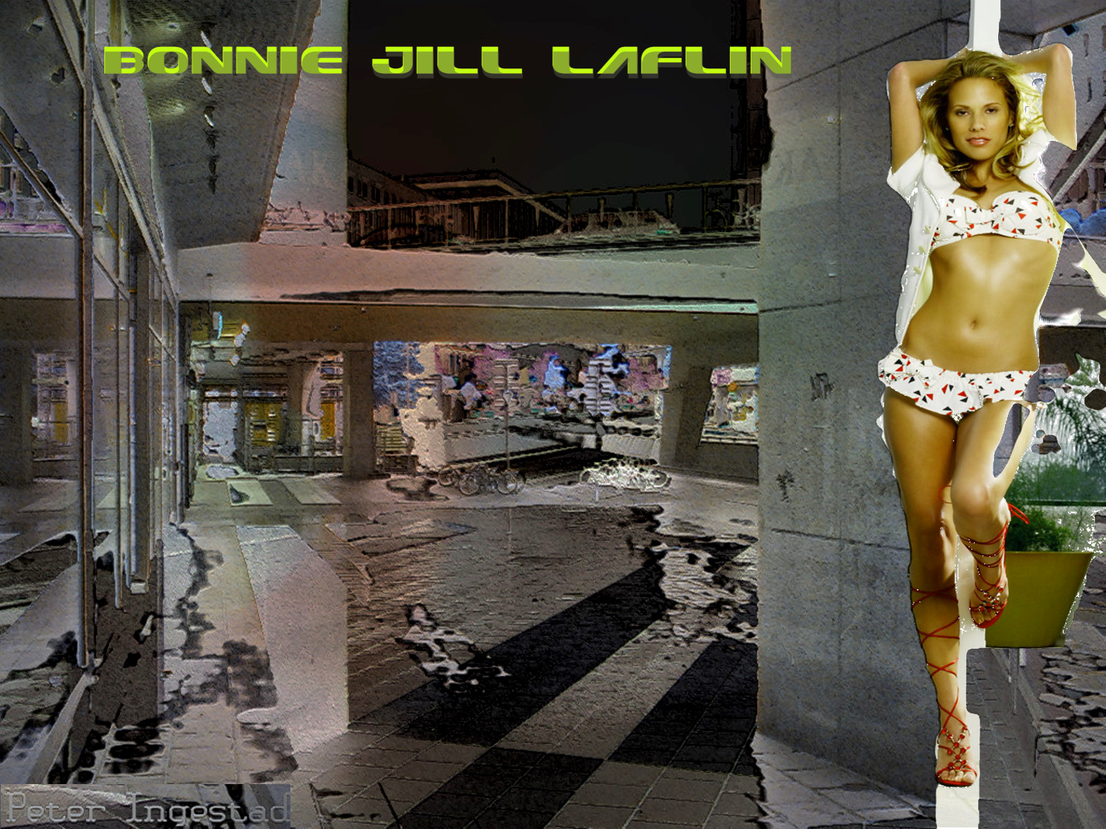 Download full size Bonnie Jill Laflin wallpaper / Celebrities Female / 1600x1200