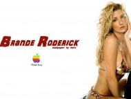 High quality Brande Roderick  / Celebrities Female