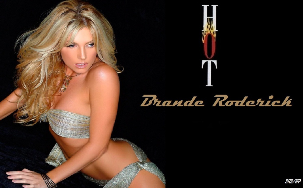 Download Brande Roderick / Celebrities Female wallpaper / 1240x768