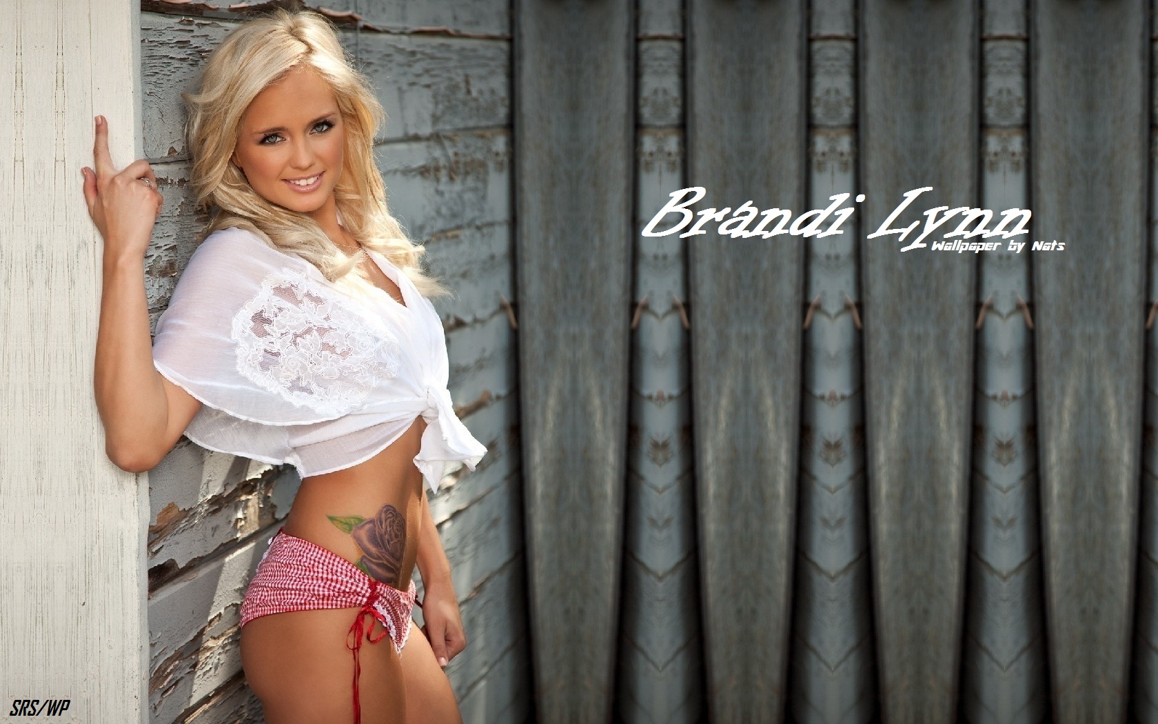 Download full size Brandi Lynn wallpaper / Celebrities Female / 1680x1050