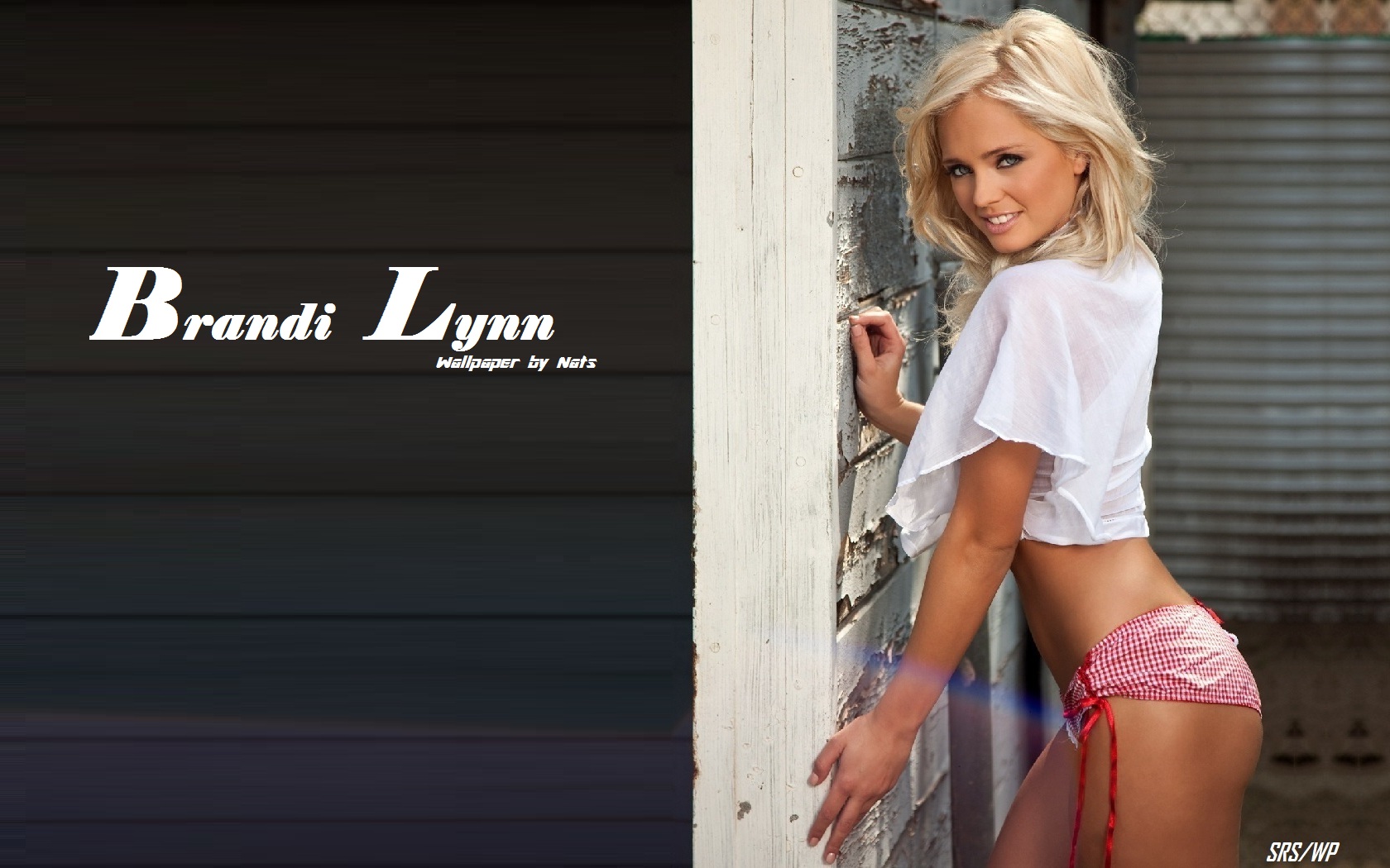 Download High quality Brandi Lynn wallpaper / Celebrities Female / 1680x1050