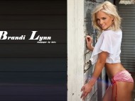Download Brandi Lynn / Celebrities Female