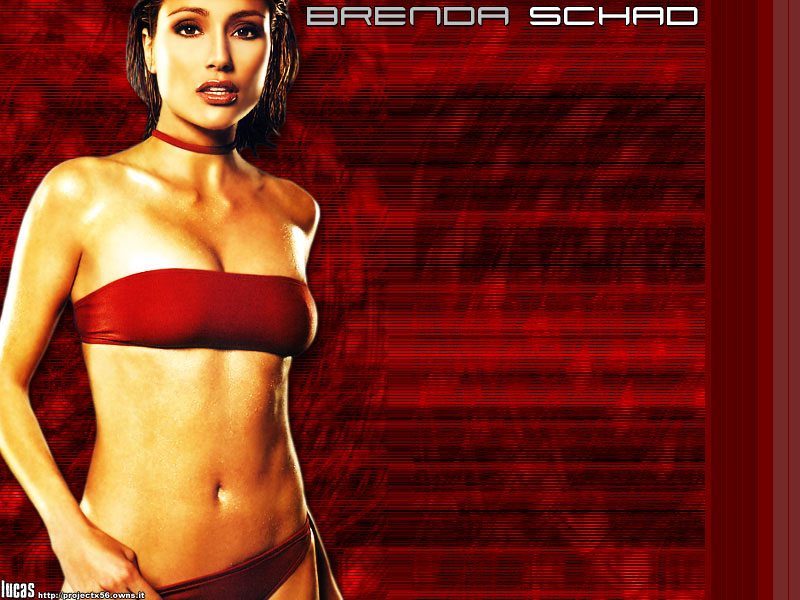 Download Brenda Schad / Celebrities Female wallpaper / 800x600