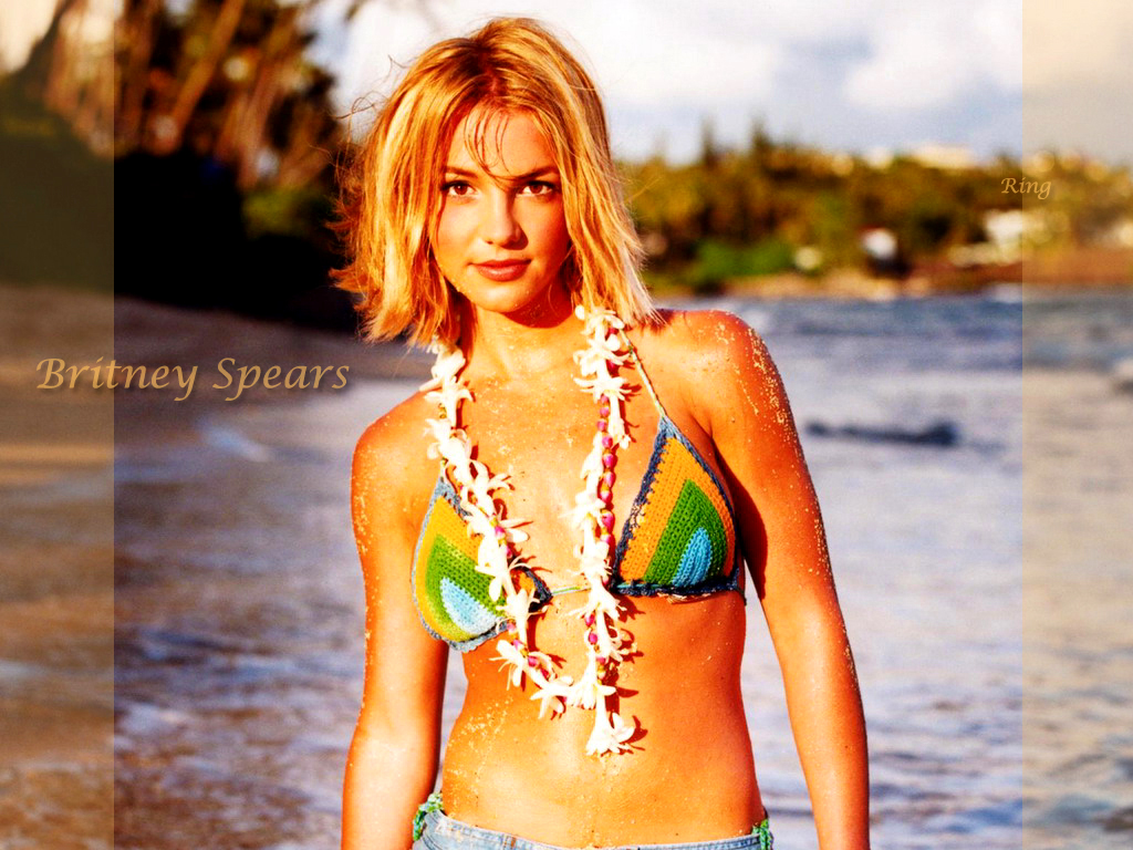 Full size Britney Spears wallpaper / Celebrities Female / 1024x768