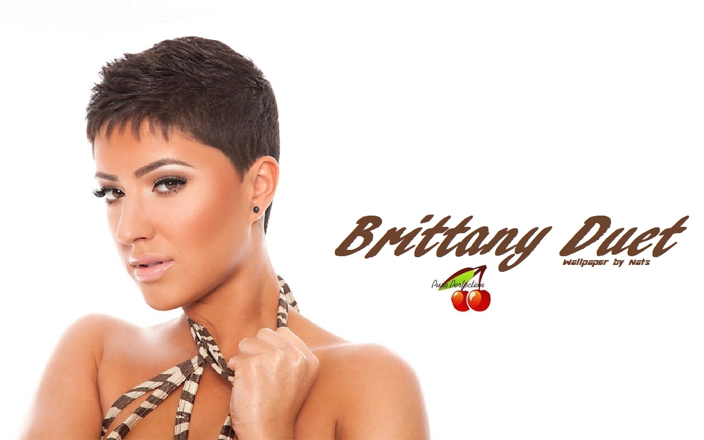 Download full size Brittany Duet wallpaper / Celebrities Female / 1440x900