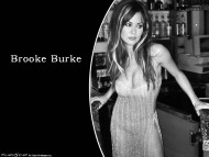 Brooke Burke / Celebrities Female