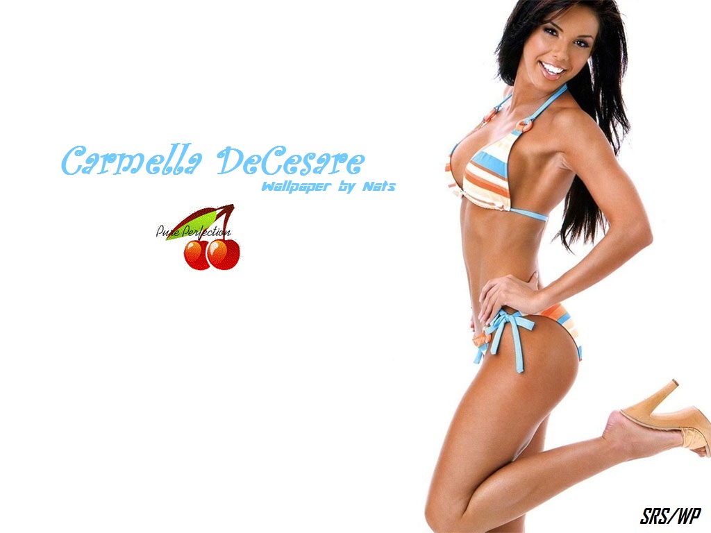 Download Carmella De Cesare / Celebrities Female wallpaper / 1024x768