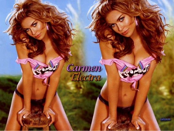 Free Send to Mobile Phone Carmen Electra Celebrities Female wallpaper num.130